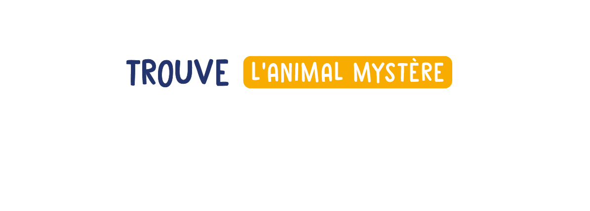 Trouve l'animal mystère
